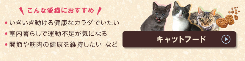 キャットフード