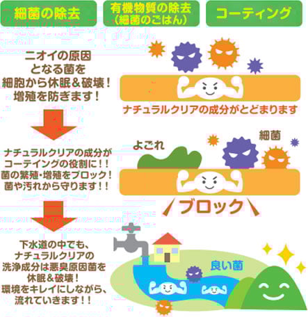 細菌の除去 有機物質の除去（細菌のごはん） コーティング