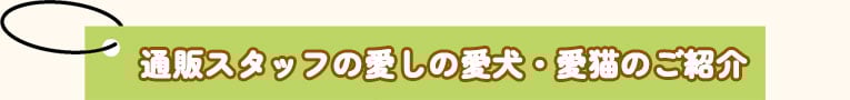 通販スタッフの愛しの愛犬・愛猫のご紹介