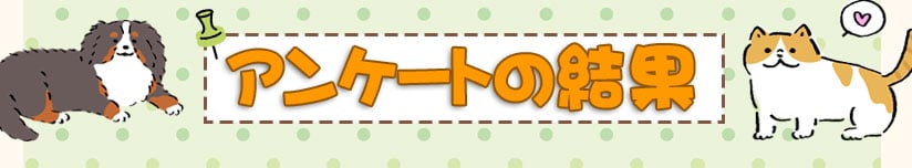 アンケートの結果