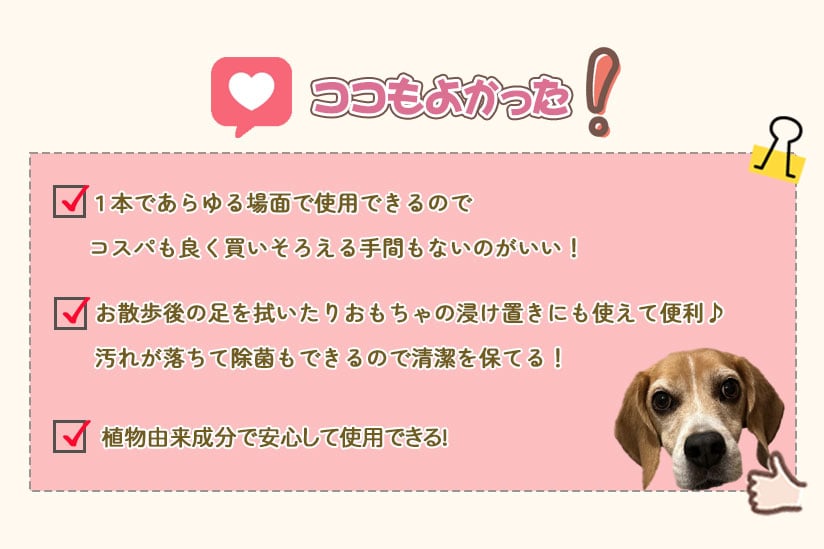 ココもよかった！