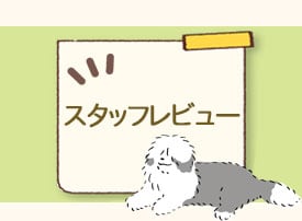 スタッフレビュー