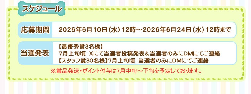 スケジュール
