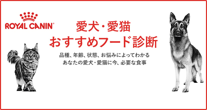 愛犬・愛猫おすすめフード診断