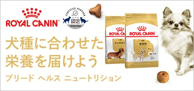 ブリード ヘルス ニュートリション 犬用