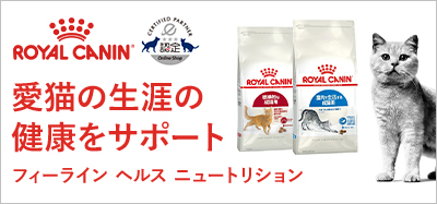 フィーライン ヘルス ニュートリション