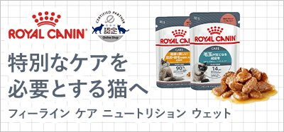 フィーライン ケア ニュートリション ウェット