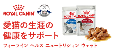 フィーライン ヘルス ニュートリション ウェット