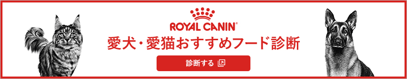 愛犬・愛猫おすすめフード診断