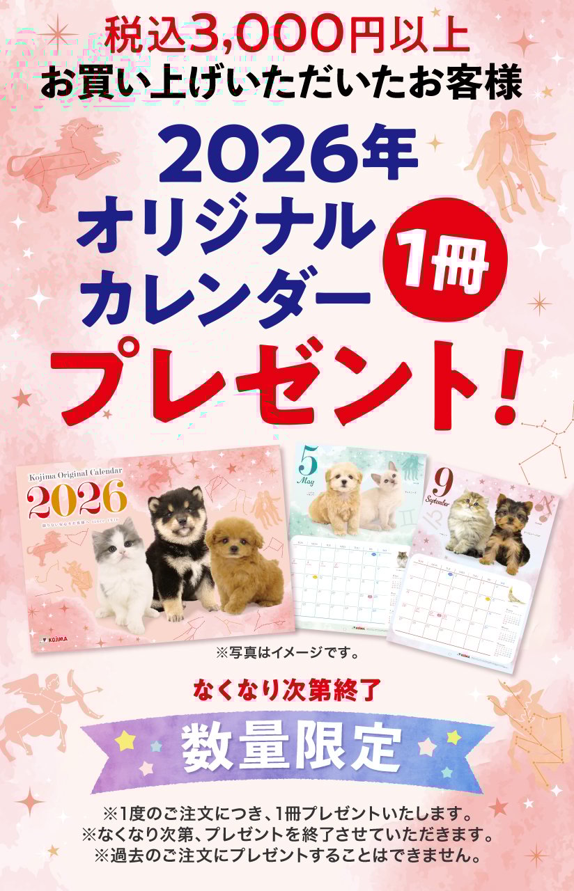 カレンダーキャンペーン