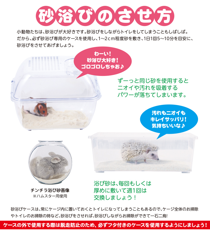 砂浴びのさせ方