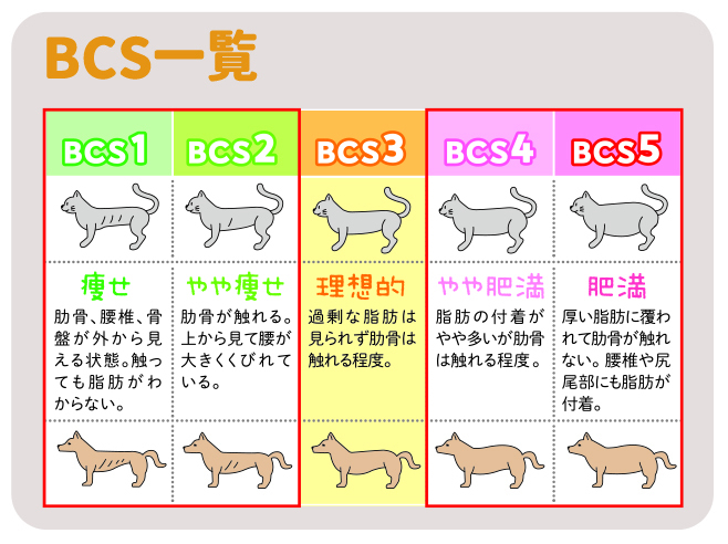 ボディ・コンディション・スコアを選択してください
